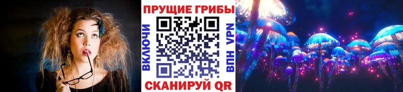 купить  цена  Плавск  Псилоцибиновые грибы GOLDEN TEACHER 